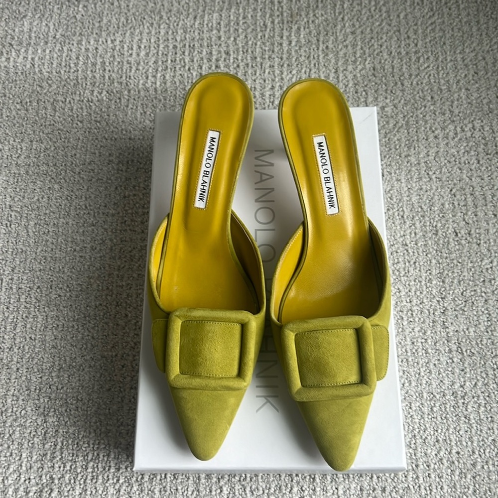 Manolo Blahnik Maysale Suede Mule